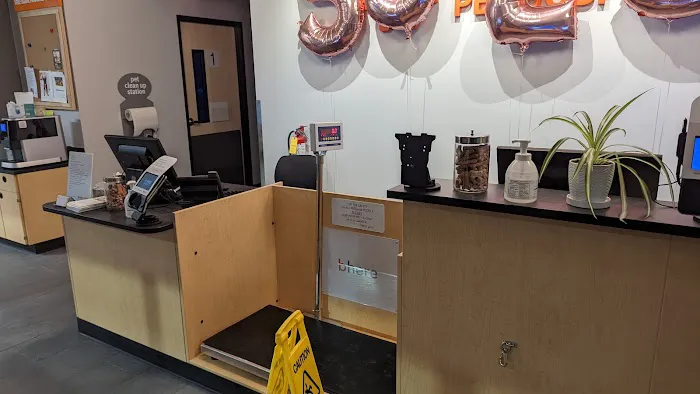 Banfield Pet Hospital Picture 10