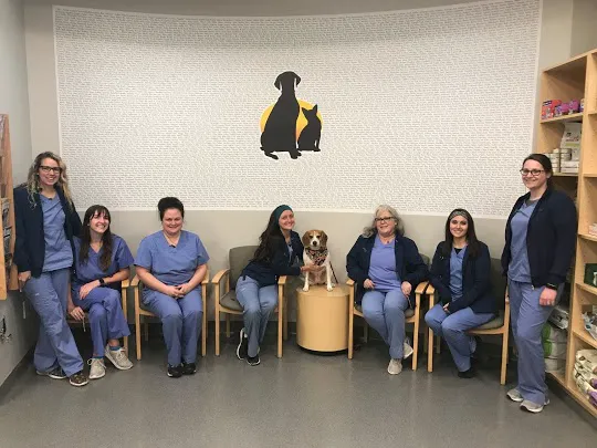 College Park Pet Wellness Clinic Picture 5
