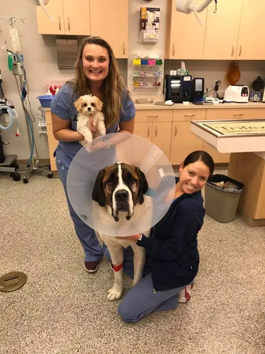 College Park Pet Wellness Clinic Picture 8