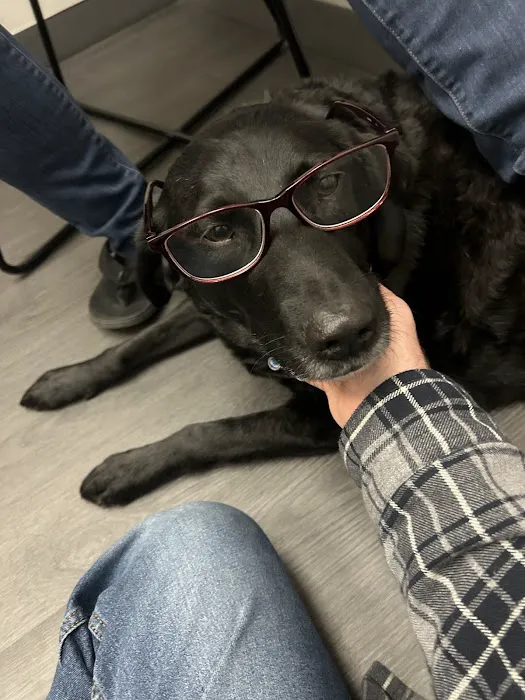 VCA Animal Hospitals Urgent Care - College Park Picture 10