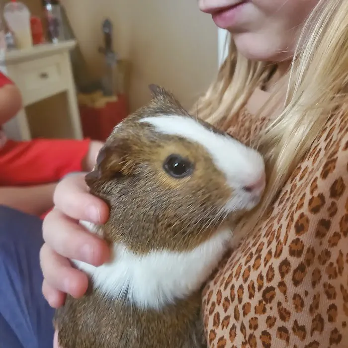 Avian & Exotic Animal Clinic Picture 1