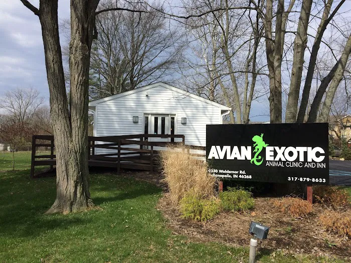 Avian & Exotic Animal Clinic Picture 9
