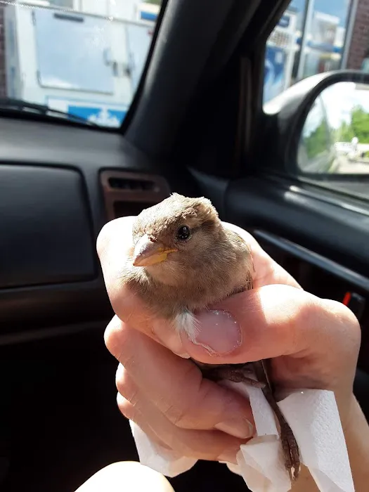 Avian & Exotic Animal Clinic Picture 8