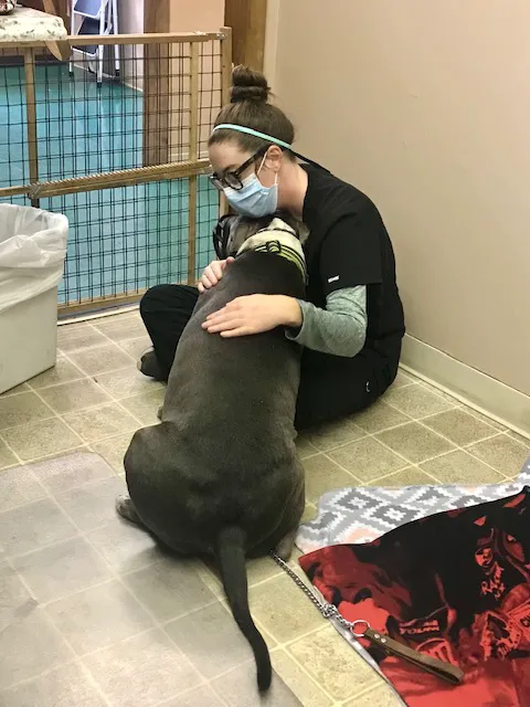 Indy Paws Veterinary Hospital Picture 1