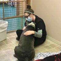 Indy Paws Veterinary Hospital ico