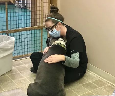 Indy Paws Veterinary Hospital
