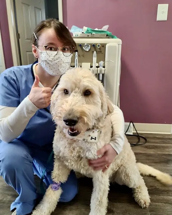 Indy Paws Veterinary Hospital Picture 10