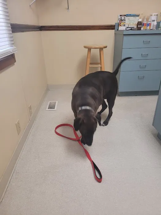 Mt. Comfort Animal Hospital Picture 6