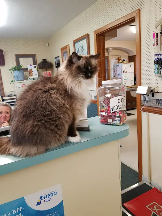 Mt. Comfort Animal Hospital Picture 8