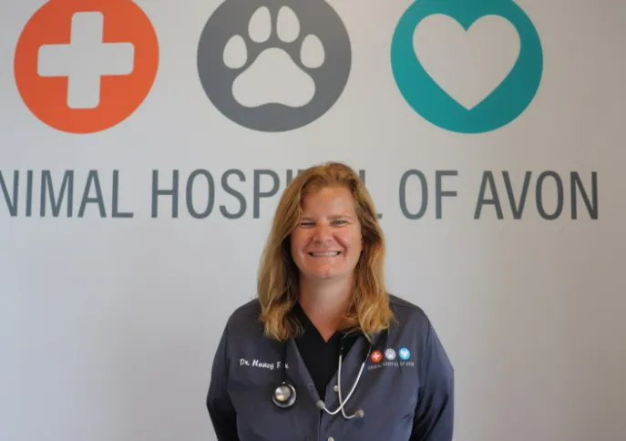 Animal Hospital of Avon Picture 1
