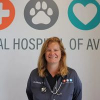 Animal Hospital of Avon ico