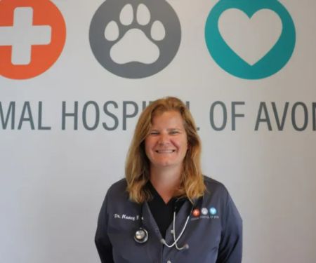 Animal Hospital of Avon