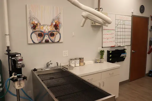 Animal Hospital of Avon Picture 3