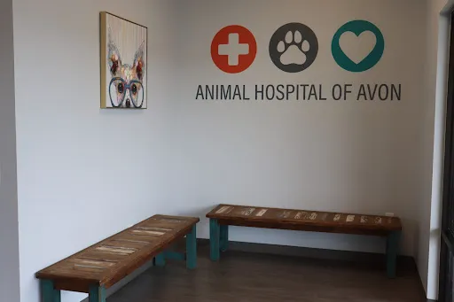 Animal Hospital of Avon Picture 2