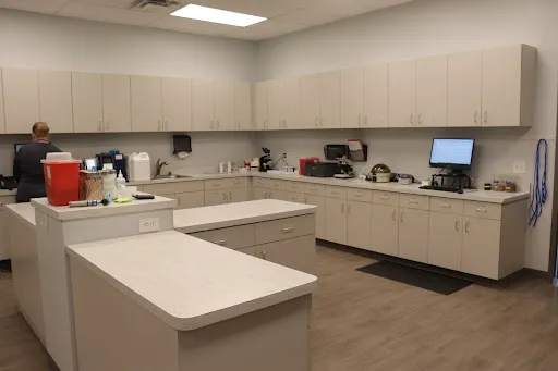 Animal Hospital of Avon Picture 7