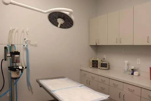 Animal Hospital of Avon Picture 8