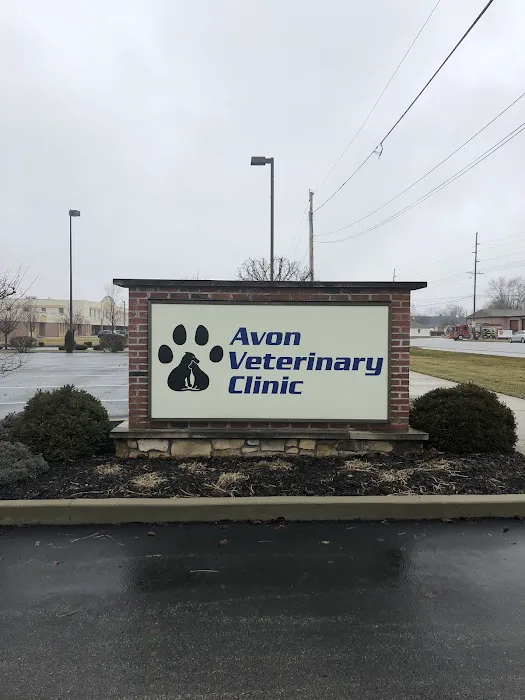 Avon Veterinary Clinic Picture 7