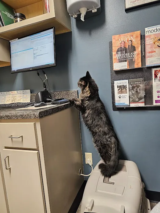 Avon Veterinary Clinic Picture 5