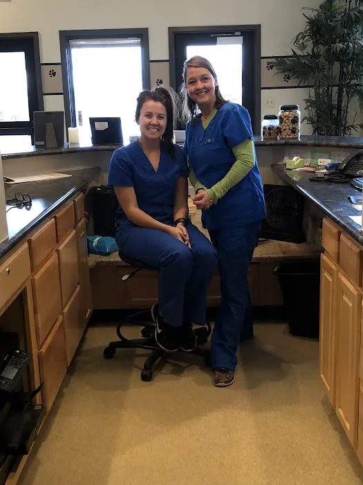Avon Veterinary Clinic Picture 6