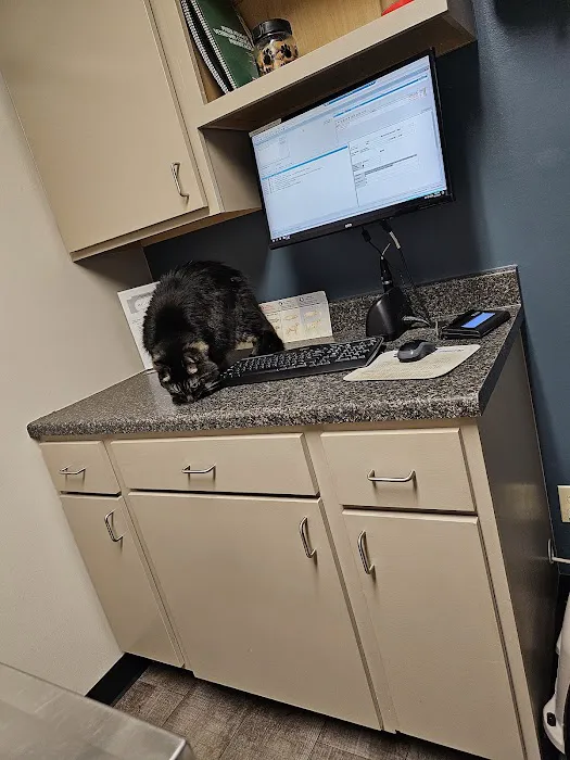 Avon Veterinary Clinic Picture 9