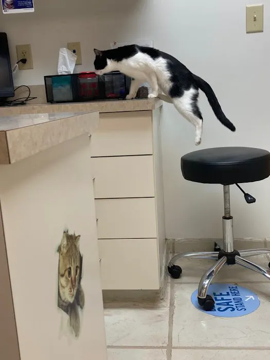 VCA Animal Hospital of Plainfield Picture 1