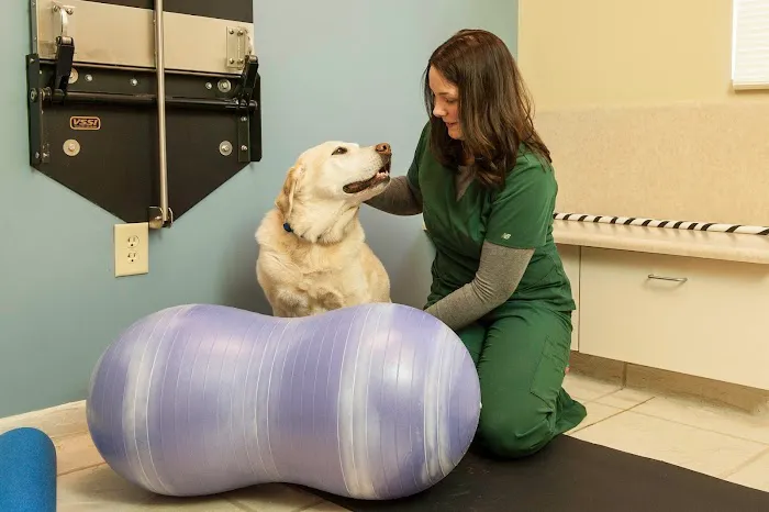 VCA Animal Hospital of Plainfield Picture 4