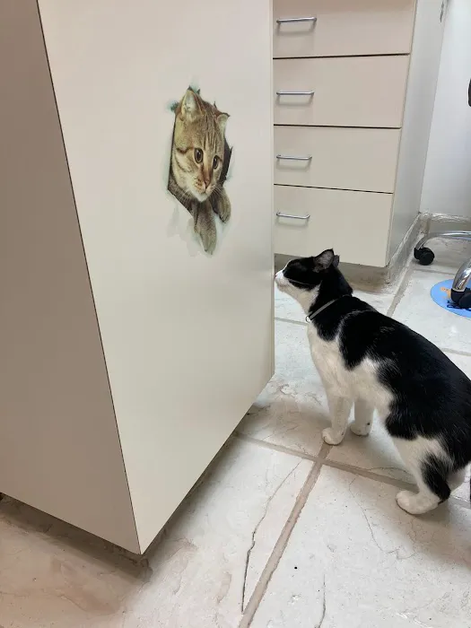 VCA Animal Hospital of Plainfield Picture 9