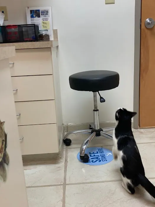 VCA Animal Hospital of Plainfield Picture 6