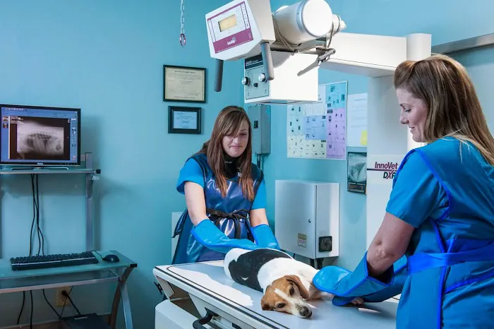 VCA Animal Hospital of Plainfield Picture 10