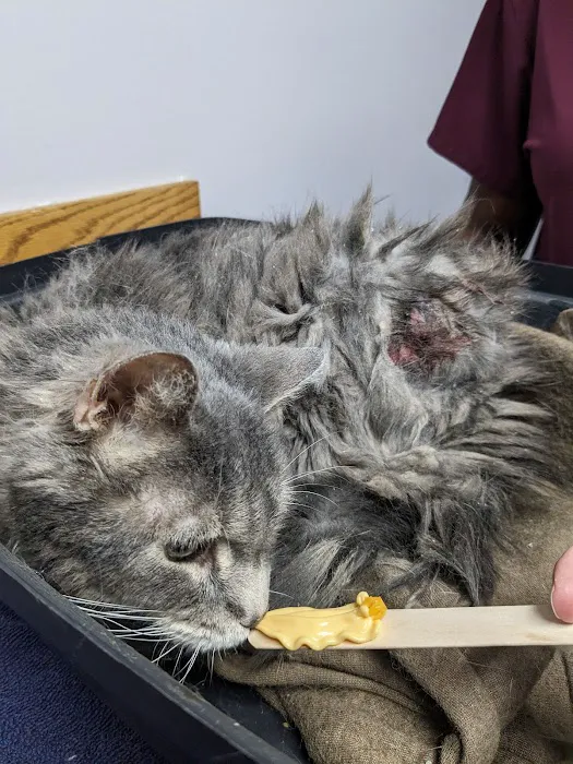 Freeland Animal Hospital Picture 2
