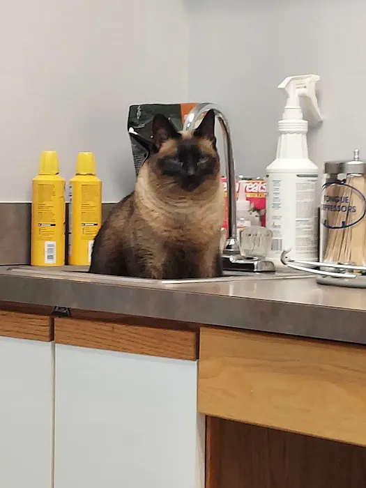 Freeland Animal Hospital Picture 10