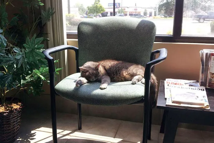 Freeland Animal Hospital Picture 8