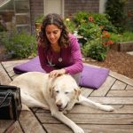 Lotus Veterinary House Calls