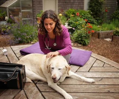 Lotus Veterinary House Calls