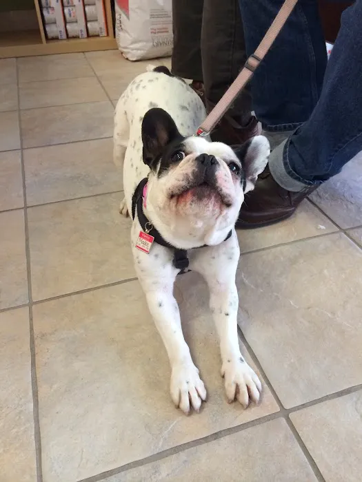 Seven Hills Veterinary Hospital Picture 7