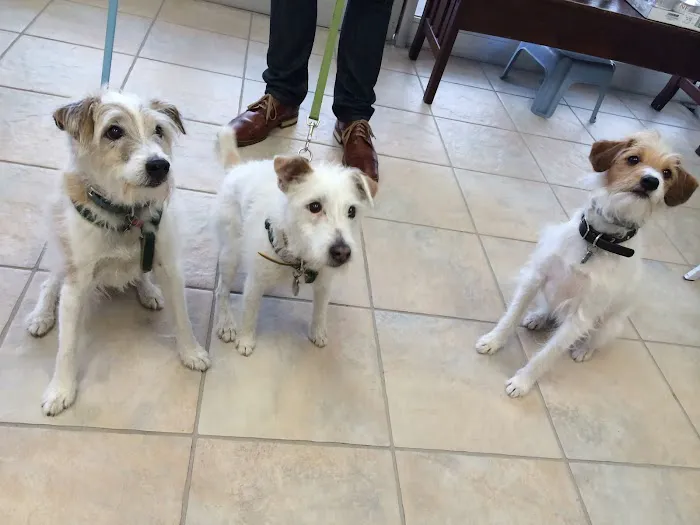 Seven Hills Veterinary Hospital Picture 8