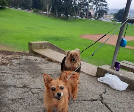 Park Animal Hospital