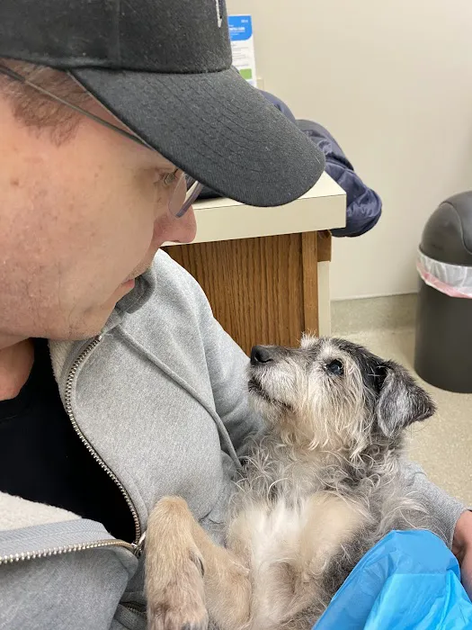 Park Animal Hospital Picture 10