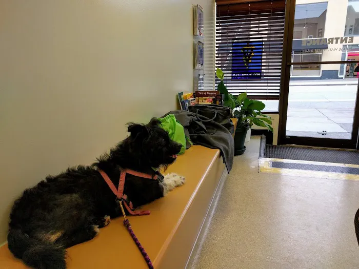 Park Animal Hospital Picture 8