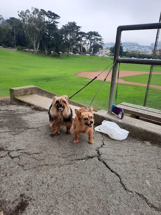 Park Animal Hospital Picture 4