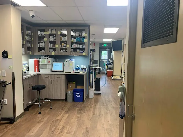 Irving Pet Hospital Picture 10