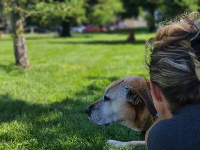 Golden Gate Home Hospice and Euthanasia Picture 1