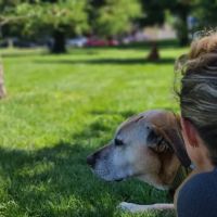 Golden Gate Home Hospice and Euthanasia ico