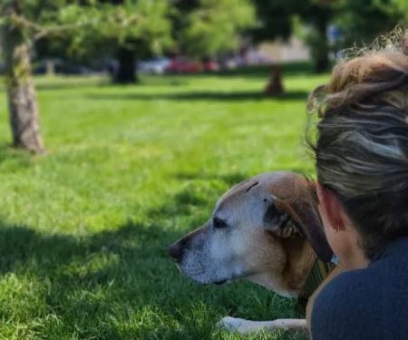 Golden Gate Home Hospice and Euthanasia