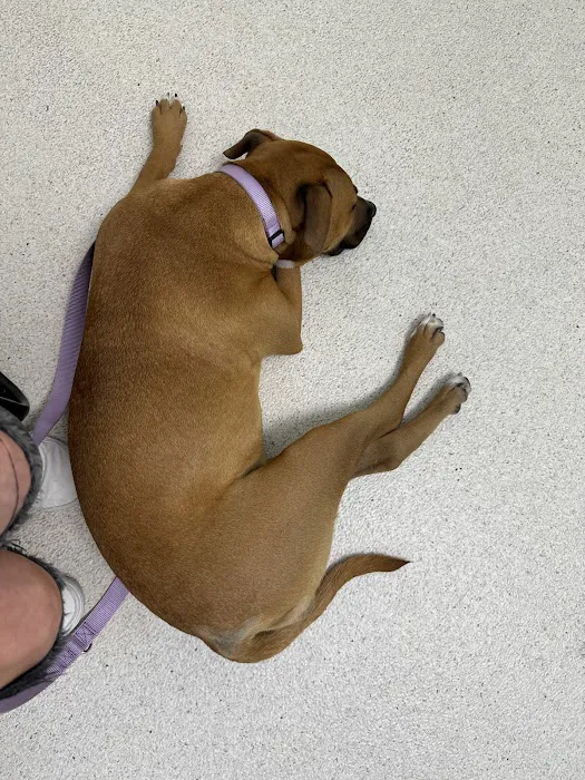 San Francisco SPCA Community Veterinary Clinic Picture 3