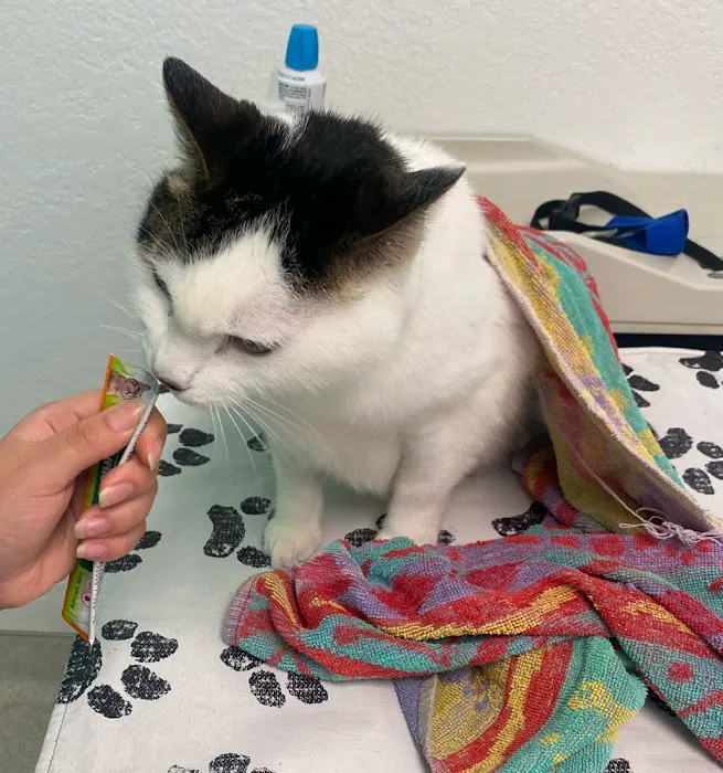 San Francisco SPCA Community Veterinary Clinic Picture 7