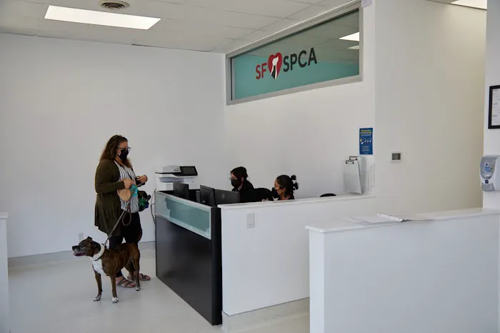San Francisco SPCA Community Veterinary Clinic Picture 10