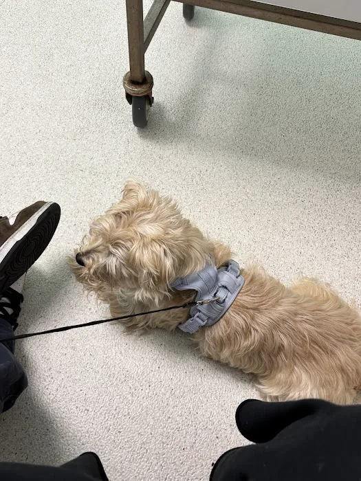 San Francisco SPCA Community Veterinary Clinic Picture 6