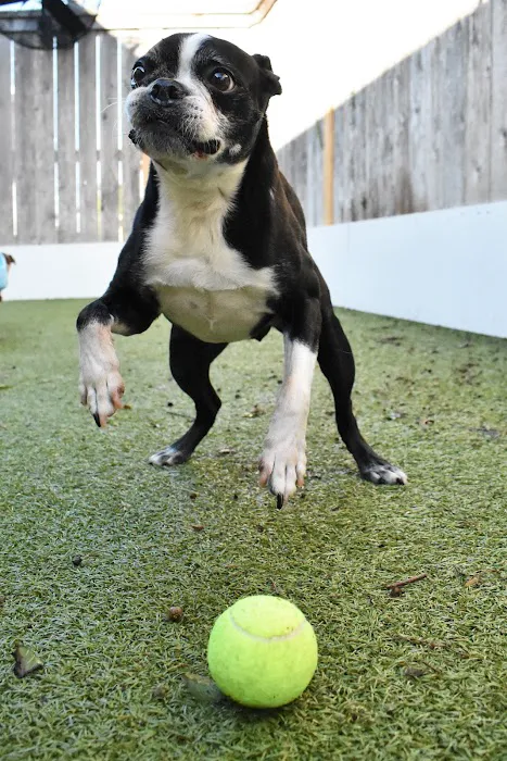 Crescent City Veterinary Hospital Picture 3