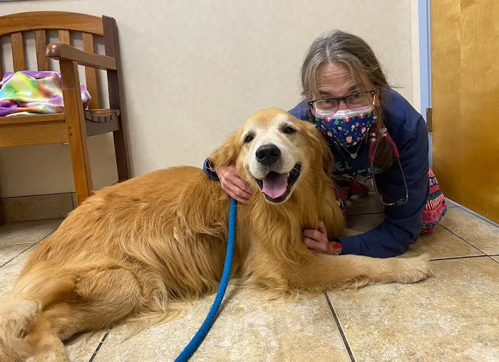 Crescent City Veterinary Hospital Picture 5